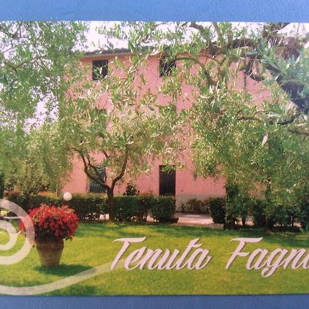 Tenuta Fagnani Lucca Rum bild
