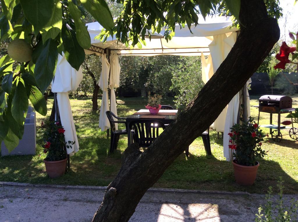 Tenuta Fagnani Lucca Exteriör bild