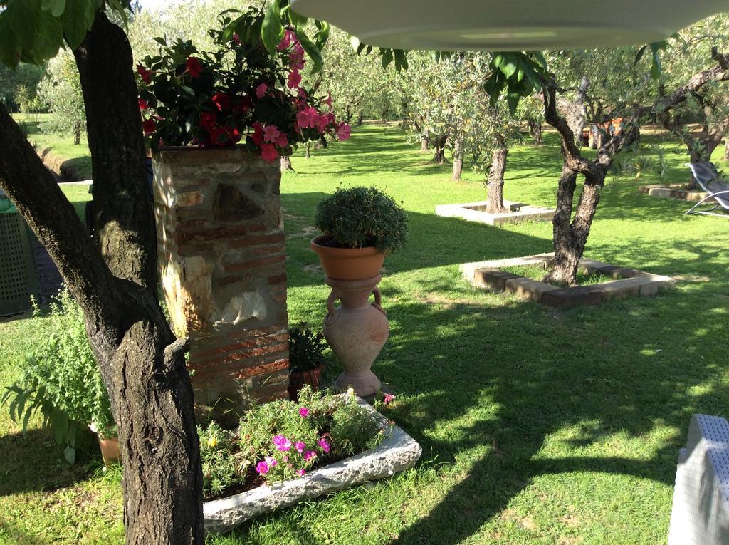Tenuta Fagnani Lucca Exteriör bild